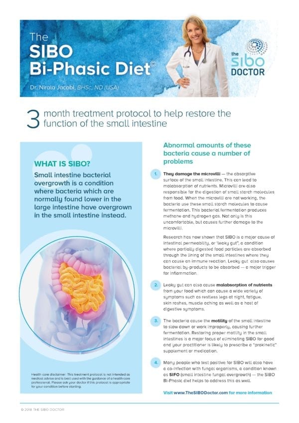 Download Dr Jacobis Sibo Bi Phasic Diet Free Patient Handout The Sibo Doctor 1304