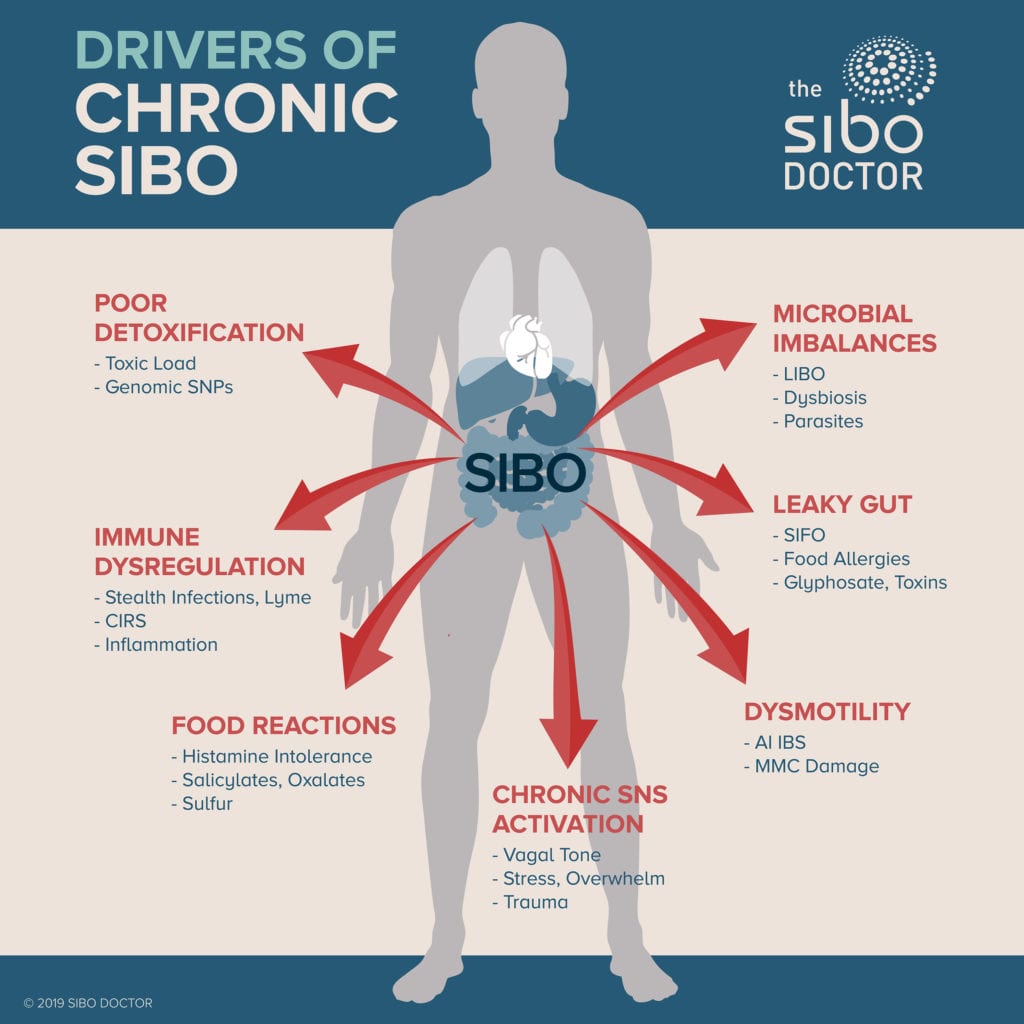 home-the-sibo-doctor